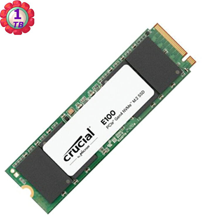 Crucial E100 1TB PCIe Gen4 NVMe SSD CT1000E100SSD8 公司貨 固態硬碟
