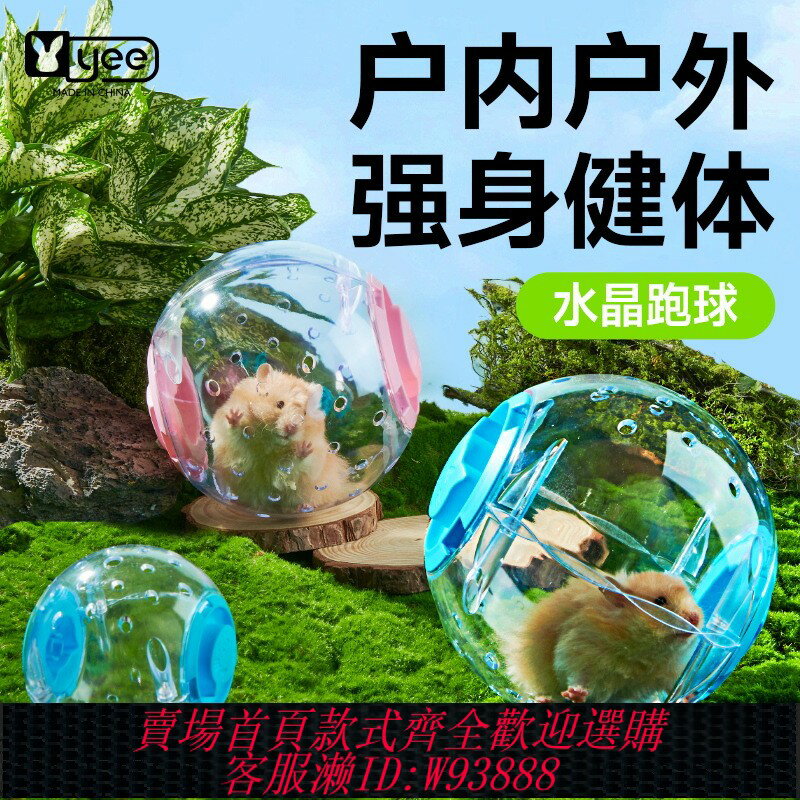 {臺灣公司貨 可打統編}倉鼠跑球運動球小寵倉鼠球外帶包滾輪跑輪外帶球侏儒金絲熊玩具