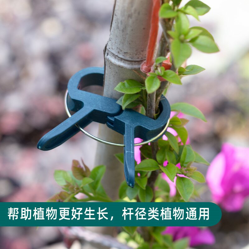 園林夾植物枝條固定夾園藝花卉蝴蝶蘭支架夾子塑膠園藝工具夾子