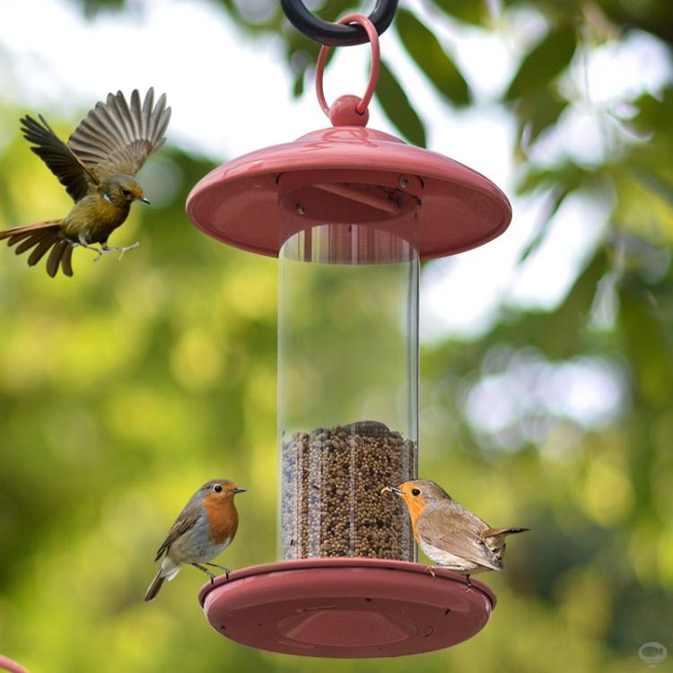 餵鳥器 金屬小鳥喂鳥器野外陽台別墅戶外懸掛式防雨布施喂食器