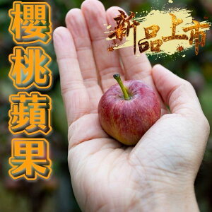 【緁迪水果JDFruit】台灣福壽山-新品種 櫻桃蜜蘋果(600g+-10% ,約8~12粒)