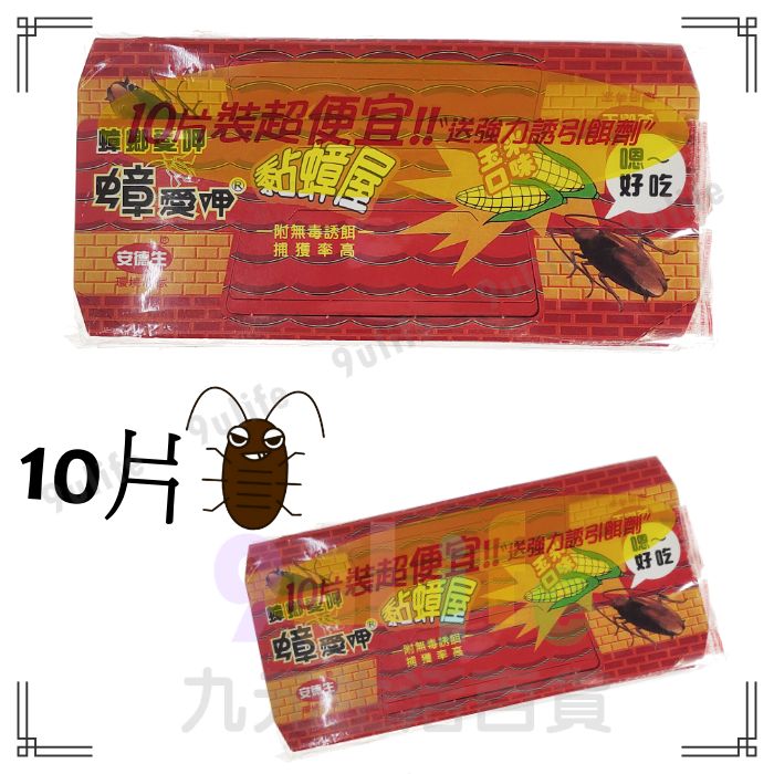 【九元生活百貨】安德生 蟑愛呷 粘蟑屋/10片(玉米口味) 防治蟑螂
