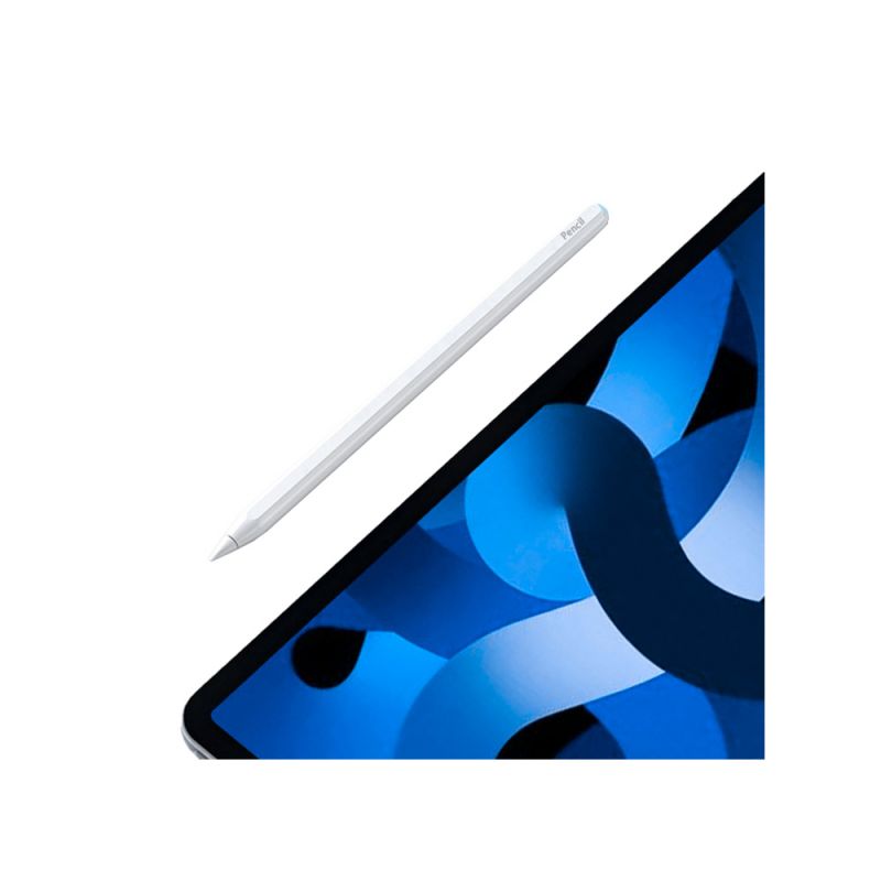 Stylus Pen C10 iPad 專用無線充電觸控筆(套裝版) 磁吸觸控筆 主動式電容筆 手寫筆【愛瘋潮】