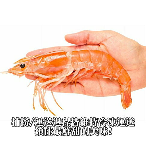 【永鮮好食】巨無霸阿根廷 頂級天使紅蝦L1(約30-40尾)1盒(2kg/盒) 生食 燒烤 海鮮 生鮮 2