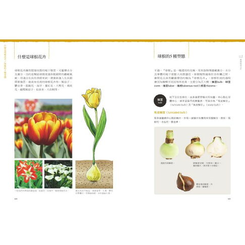 球根花卉超好種 園藝世家四代栽培密技大公開 50種球根花卉四季管理 Q A種花問答 樂天書城直營店 樂天市場rakuten 球根花卉超好種 園藝世家四代栽培密技大公開 50種球根花卉四季管理 Q A種花問答 樂天書城直營店 樂天市場rakuten
