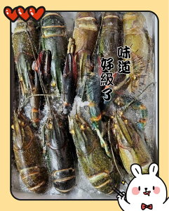 【天天來海鮮】淡水小龍蝦/800克/8-10大尾