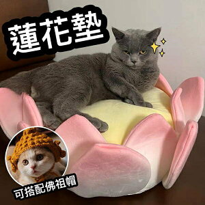 『台灣x現貨秒出』佛祖造型寵物帽 編織寵物帽 貓咪編織帽 佛祖編織帽 貓帽