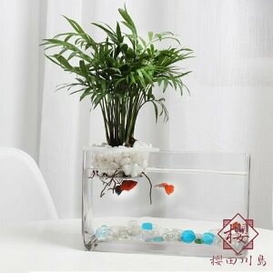長方形玻璃魚缸透明小型水族箱植物水培【櫻田川島】