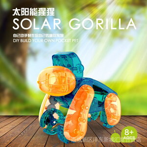 新品DIY太陽能猩猩科技製作發明實驗自裝蝸牛機器人玩具13合1