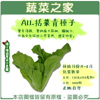 蔬菜之家 F09 青紫蘇種子 青香 日本進口 共有2種包裝可選 蔬菜之家直營店 樂天市場rakuten 蔬菜之家 F09 青紫蘇種子 青香 日本進口 共有2種包裝可選 蔬菜之家直營店 樂天市場rakuten