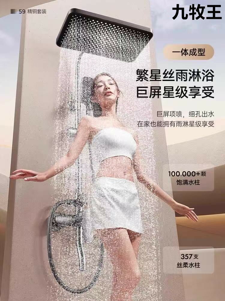 {可打統編 保固一年}全銅槍灰淋浴花灑套裝家用衛浴衛生間淋雨沐浴器浴室洗澡增壓噴頭 4