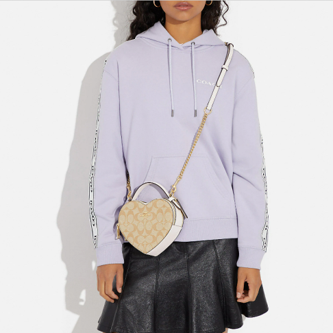 Kohls 2025 coach purses