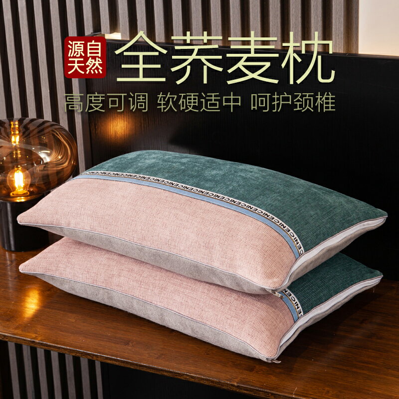 枕頭枕芯雙人夏季家用一對裝蕎麥殼硬枕頭單人男護頸椎枕睡覺專用