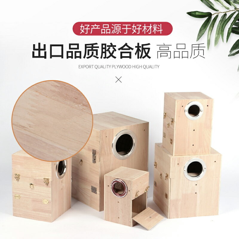 掛軸　蘭桂　猛虎　共箱 Quick Release FKM Rubber Watch Straps - NO tool | Strapcode