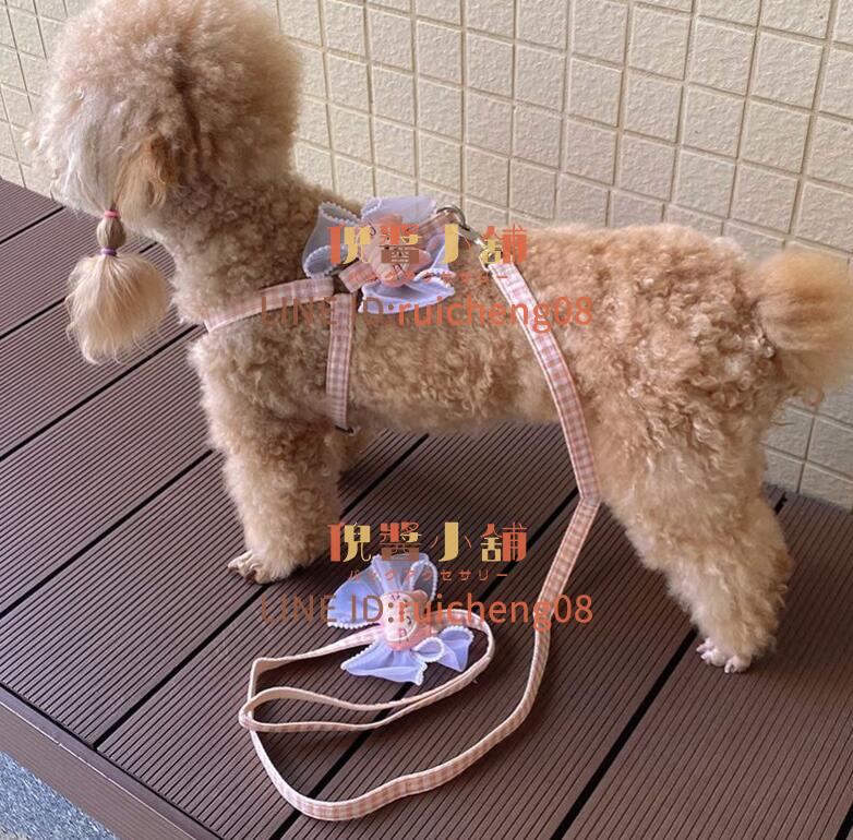 狗狗牽引繩 卡通蕾絲花邊 泰迪比熊雪納瑞 遛狗繩子背心式 三角胸背帶[倪醬小鋪]
