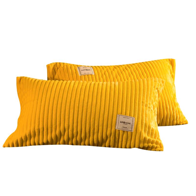 南極人網紅魔法絨枕套加厚珊瑚絨枕芯套單人學生冬季枕頭套一對裝