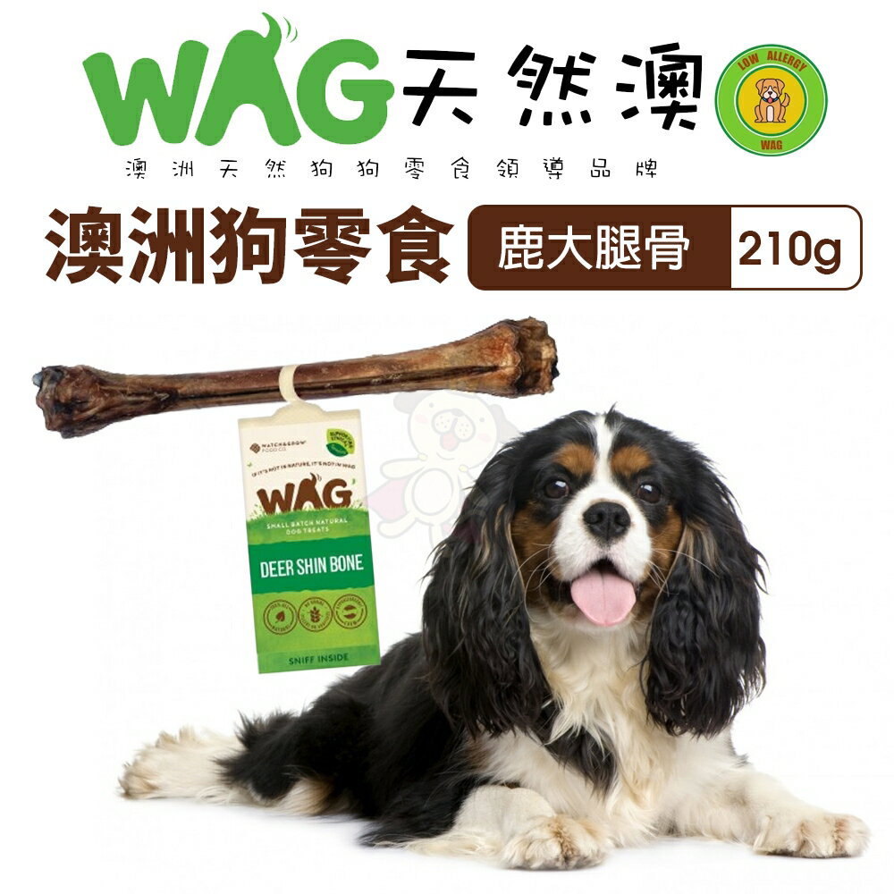 澳洲 WAG 天然澳 鹿大腿骨 |210g 潔牙骨 大腿骨 耐咬 耐吃 狗骨頭 狗零食『WANG』