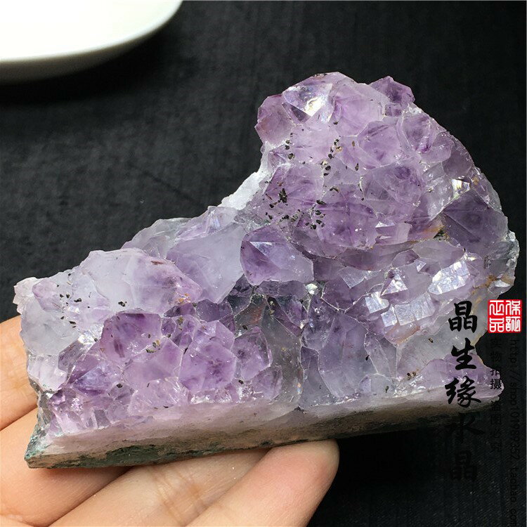 天然紫水晶簇小礦物標本骨干紫水晶簇能量小礦石實物圖多款可選