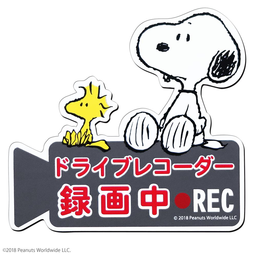 真愛日本 史努比 SNOOPY 日本製 車用告示貼紙 攝錄影 磁吸 車用 錄影中 裝飾車貼 汽車用品