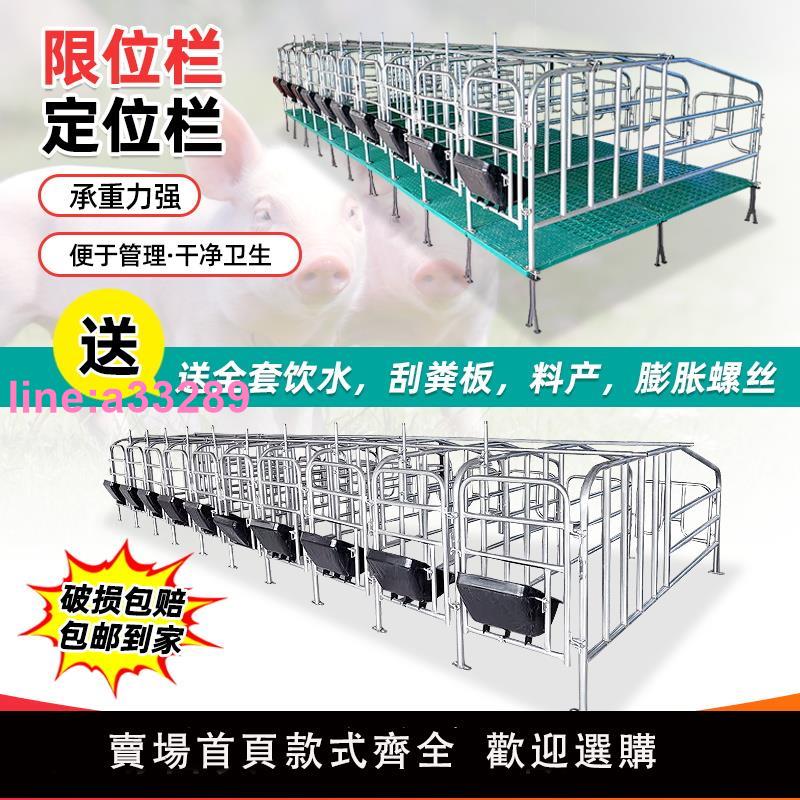 {可開發票}母豬定位欄加厚母豬限位欄豬圈漏糞熱鍍鋅養殖裝置器械豬用限位欄