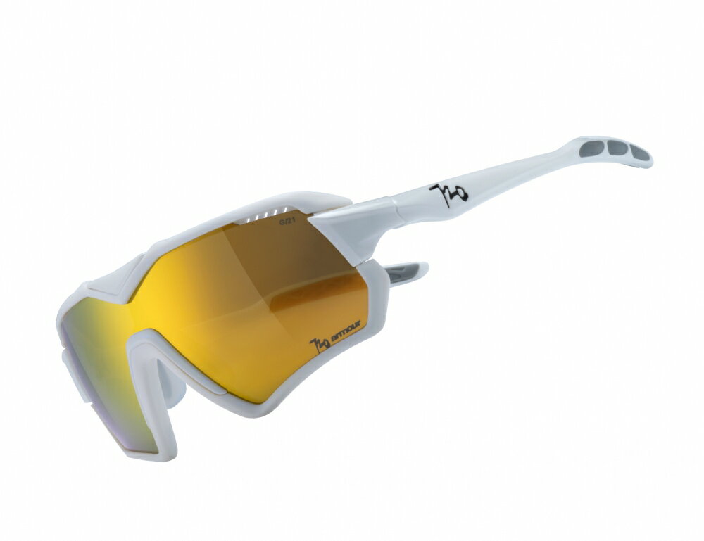 《720armour》運動太陽眼鏡 V系列 B411-2 (消光白框亮澤白鏡腳)