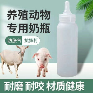 養殖獸用奶瓶小豬奶瓶專用獸用250毫升奶瓶小羊人工喂養動物