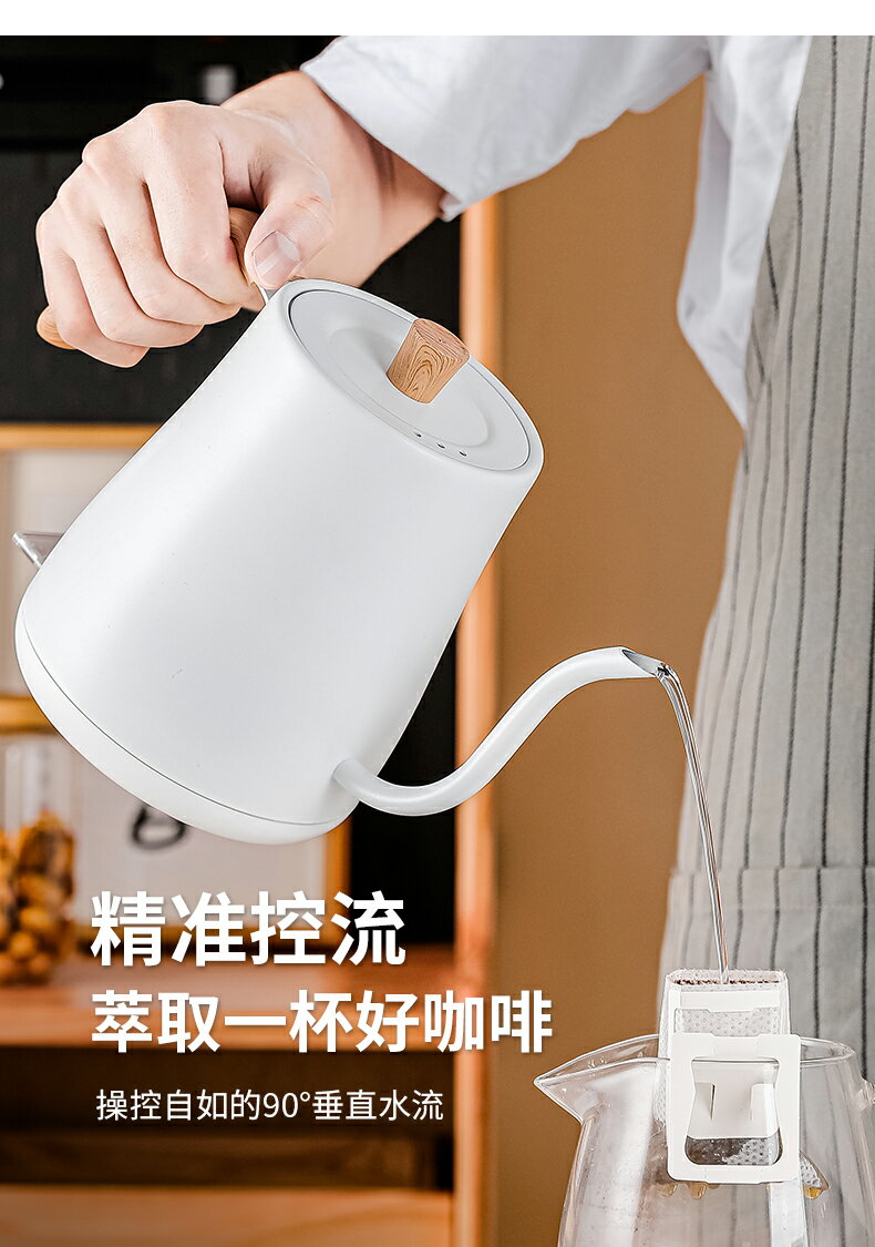 手沖咖啡壺110v電熱水壺細長嘴出口美國加拿大沖茶分體式自動斷電