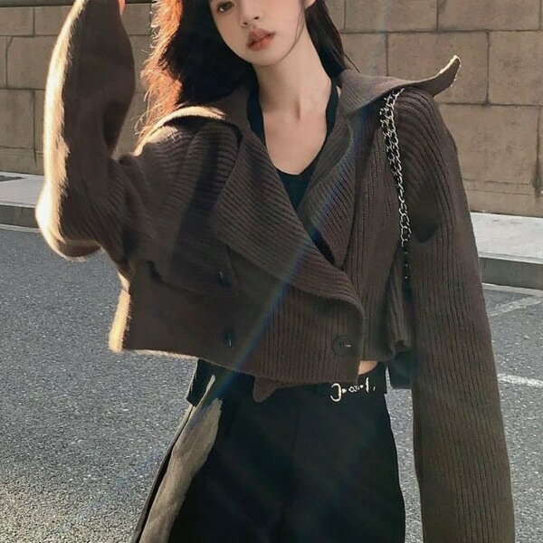 女裝 外套 韓系風 氣質上衣 韓版   女裝秋套裝設計感毛衣女新款秋季慵懶風別緻短款洋秋冬季女裝 治裝激推 2