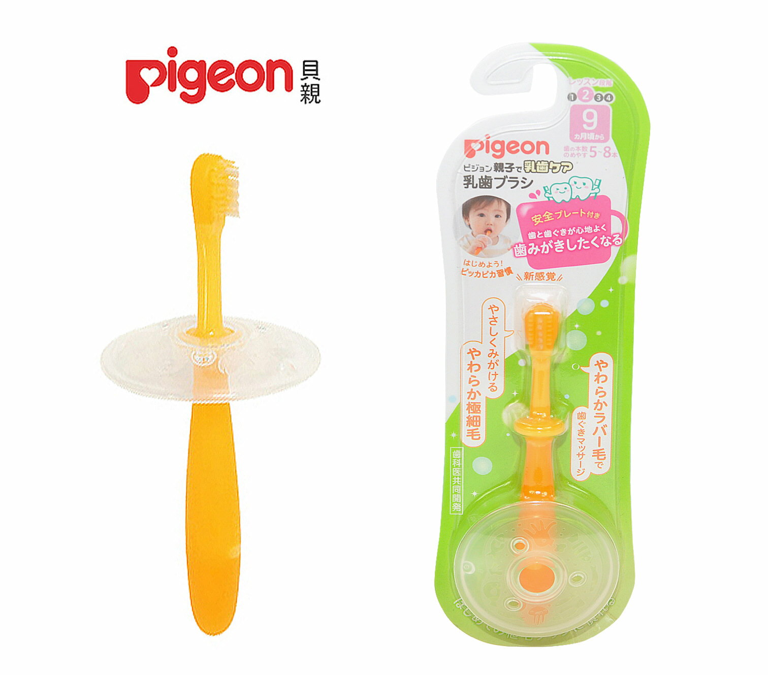 Pigeon 貝親第二階段學習牙刷(橘)P1031568，適合9個月以上寶寶使用