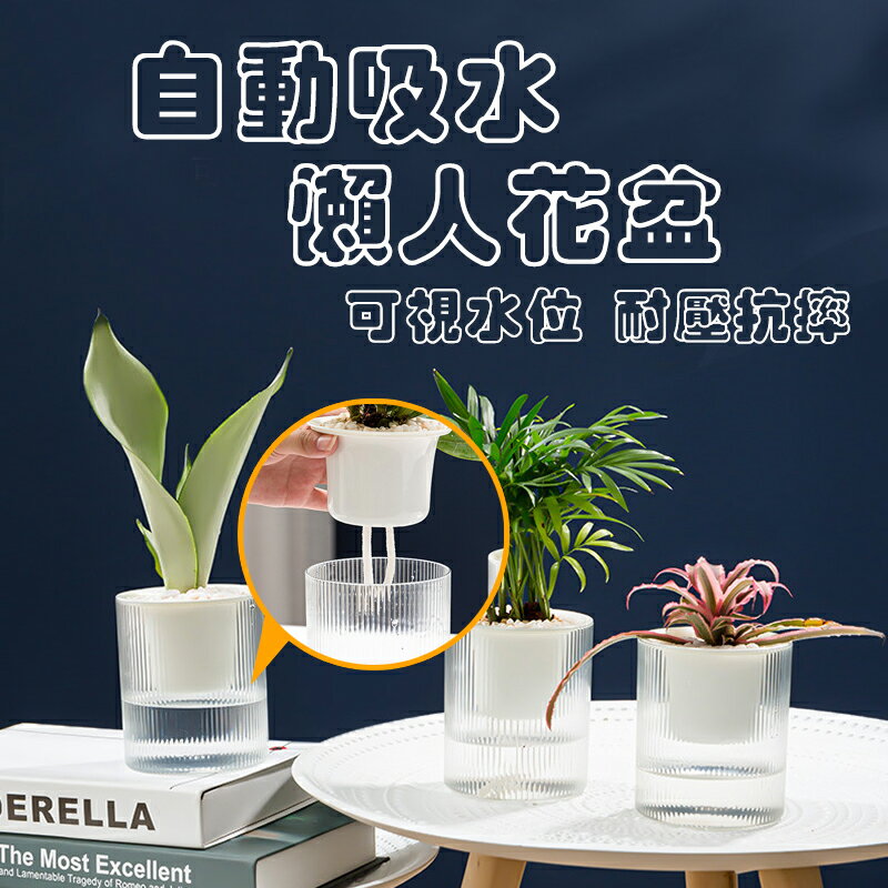 【臺灣現貨 高質量自動吸水 】 懶人花盆 吸水花盆 水培花盆 懶人盆栽 花盆 盆栽 水耕盆 植物花盆 水耕 透明花盆