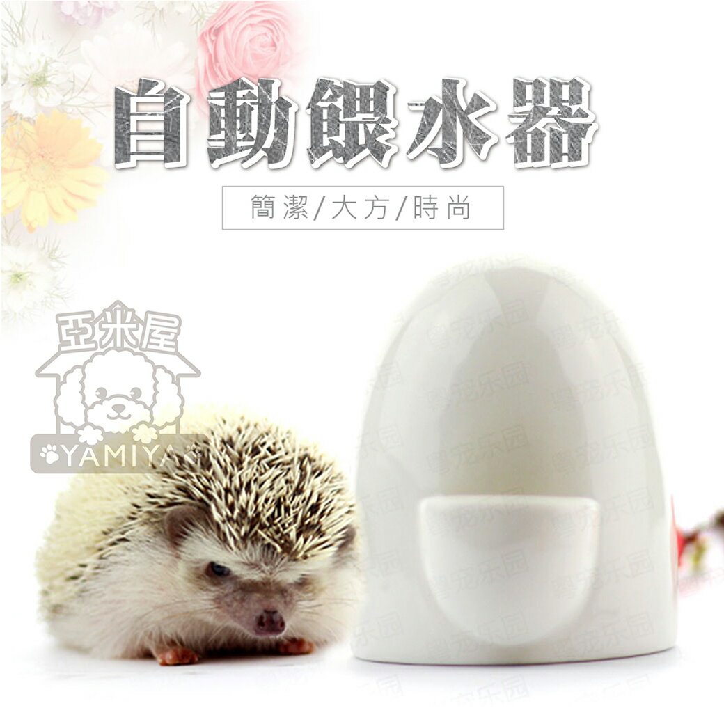 《亞米屋Yamiya》小寵陶瓷自動飲水器 防傾倒 靜音飲水器 餵水器 水盆 小寵 蜜袋鼯/刺蝟/松鼠/黃金鼠