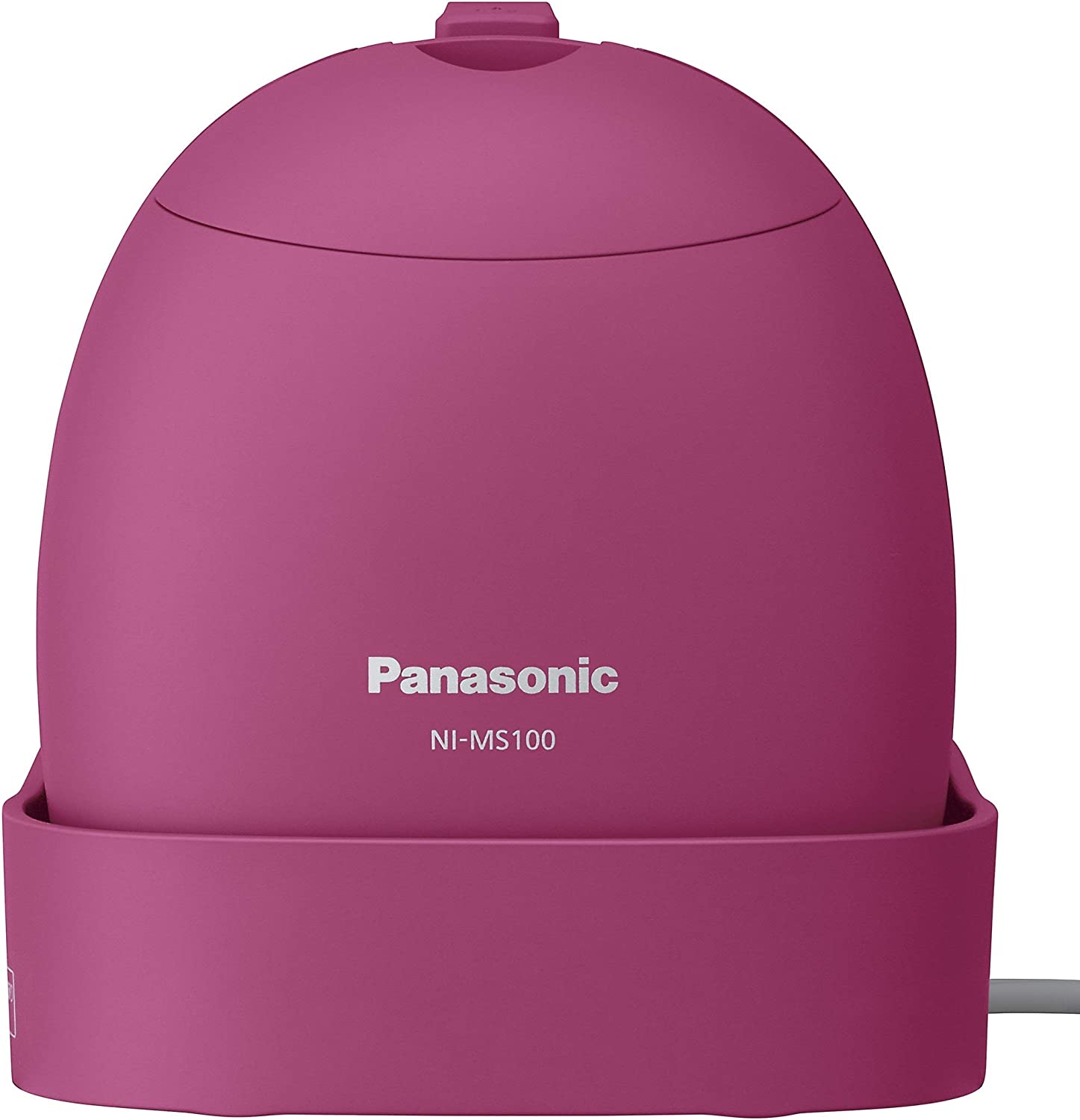 日本公司貨 Panasonic 國際牌 NI-MS100 國際電壓 蒸氣 摺疊式 平燙 掛燙 除臭 日本必買代購