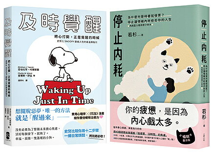 停止內耗暖心套書【停止內耗＋及時覺醒】 1