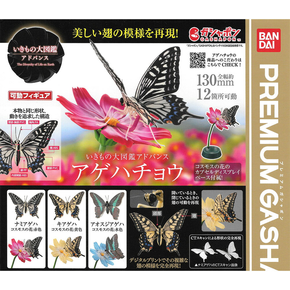 【日本正版】全套3款 生物大圖鑑 進擊 鳳蝶 扭蛋 轉蛋 蝴蝶 燕尾蝶 動物模型 BANDAI 萬代 - 962370