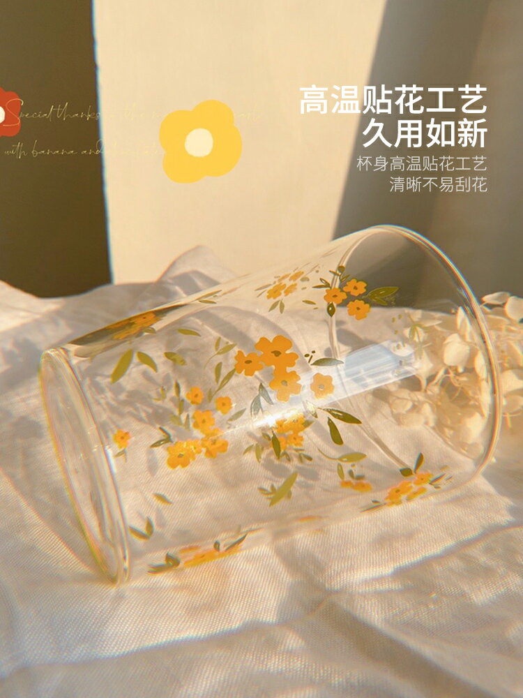 摩登主婦原創家用水杯女杯子網紅ins風早餐杯大容量牛奶杯玻璃杯