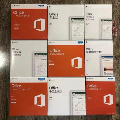 微軟Office 2019 中文專業增強版 永久授權 正版激活 一機一號 臺式筆電皆適用【微軟批發零售】