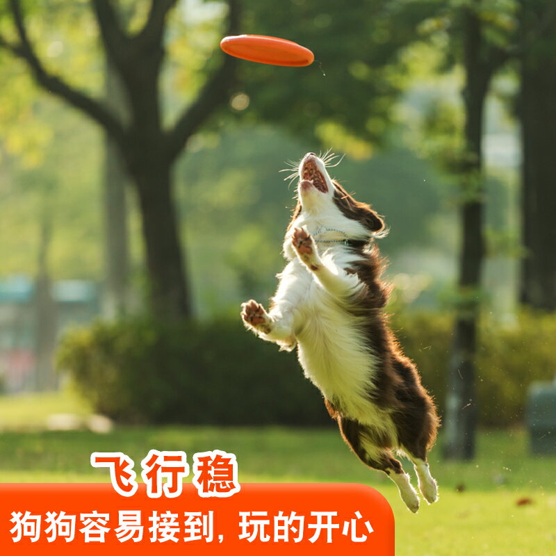 運動飛盤 飛碟 飛盤 狗專用飛盤 耐咬訓犬軟飛碟邊牧金毛拉布拉多大中小型寵物玩具 全館免運