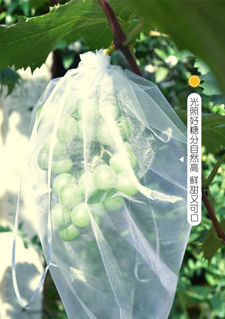 【雙拉繩紗袋-單入】水果套袋 紗網袋 雪紗網 防蟲網袋 水果網袋 紗袋 套袋 小物袋 整理袋 雪紗袋 婚禮 5