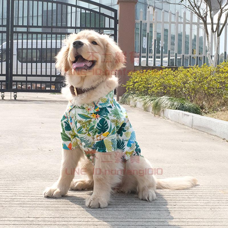 寵物衣服夏季薄款 襯衣沙灘風 透氣中型犬大型犬大狗狗襯衫舒適衣服【不二雜貨】