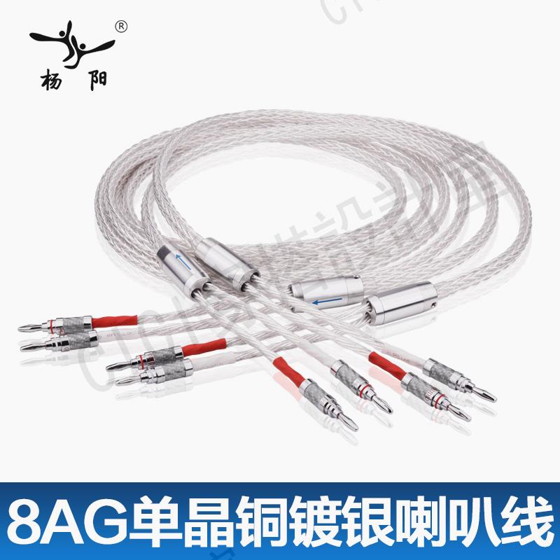 臺灣楊陽發燒級主音箱線7N單晶銅鍍銀HiFi音響喇叭線接香蕉頭Y插【亞德機械五金家居】