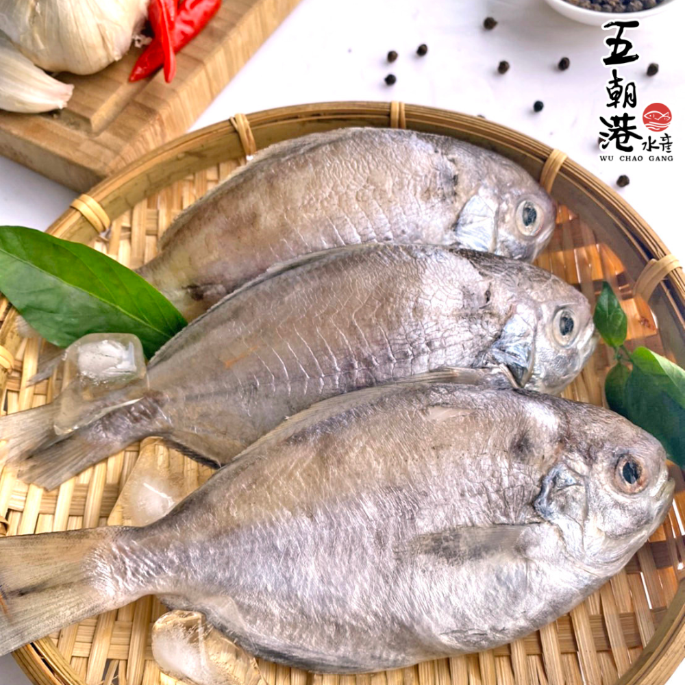 極鮮特優野生肉魚 野生 鮮魚 (580克±10%/3隻/包) 海鮮 生鮮