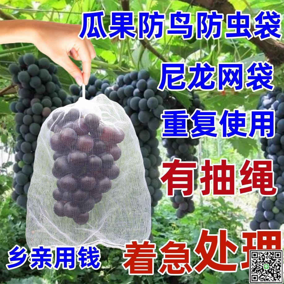 尼龍網袋葡萄套袋專用袋子防鳥網防蟲水果防蟲網袋草莓無花果透氣-UM.有米家居