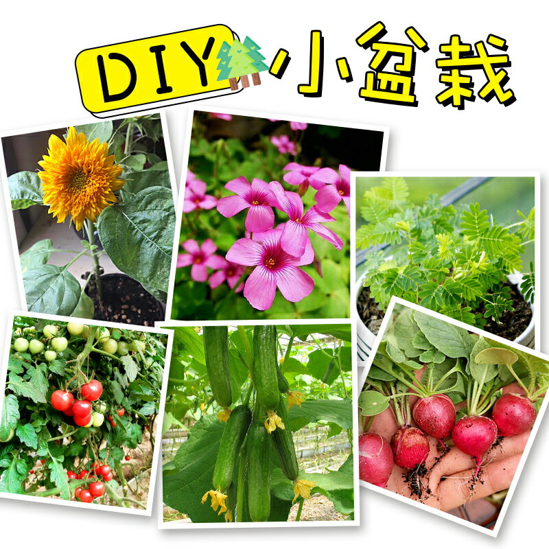 兒童手工diy幼兒園制作開心農場盆栽迷你創意種植杯材料包小植物