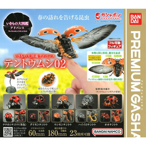 全套5款【日本正版】生物大圖鑑 進擊 瓢蟲篇 P2 扭蛋 轉蛋 七星瓢蟲 楔斑溜瓢蟲 動物模型 BANDAI 萬代 - 209078