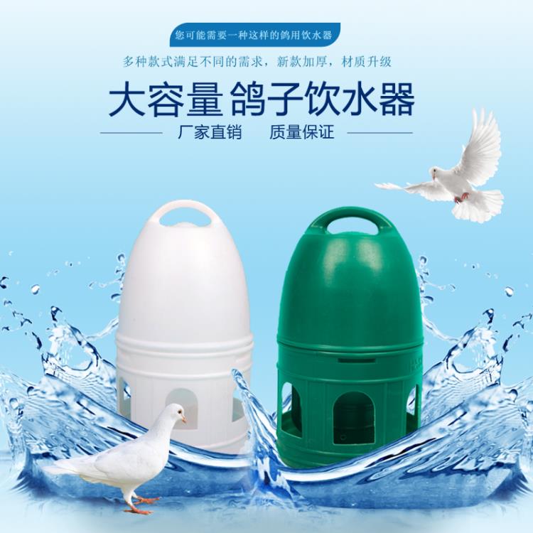 餵鳥器 鴿子飲水器自動喂水器 水壺鳥用喝水器 信鴿賽鴿水槽鴿子用品鴿具