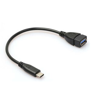 【最高22%回饋 5000點】i-wiz USB 3.1 A母 Type-C OTG連接線