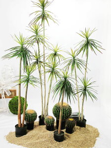 仿真劍蘭熱帶沙漠植物大型落地假龍舌蘭綠植盆栽軟裝造景裝飾擺件