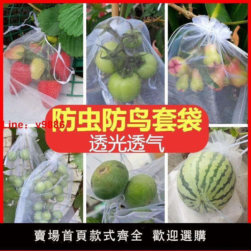 【臺灣公司 超低價】水果套袋防鳥防蟲專用尼龍網袋葡萄無花果枇杷芒果袋草莓保護袋子