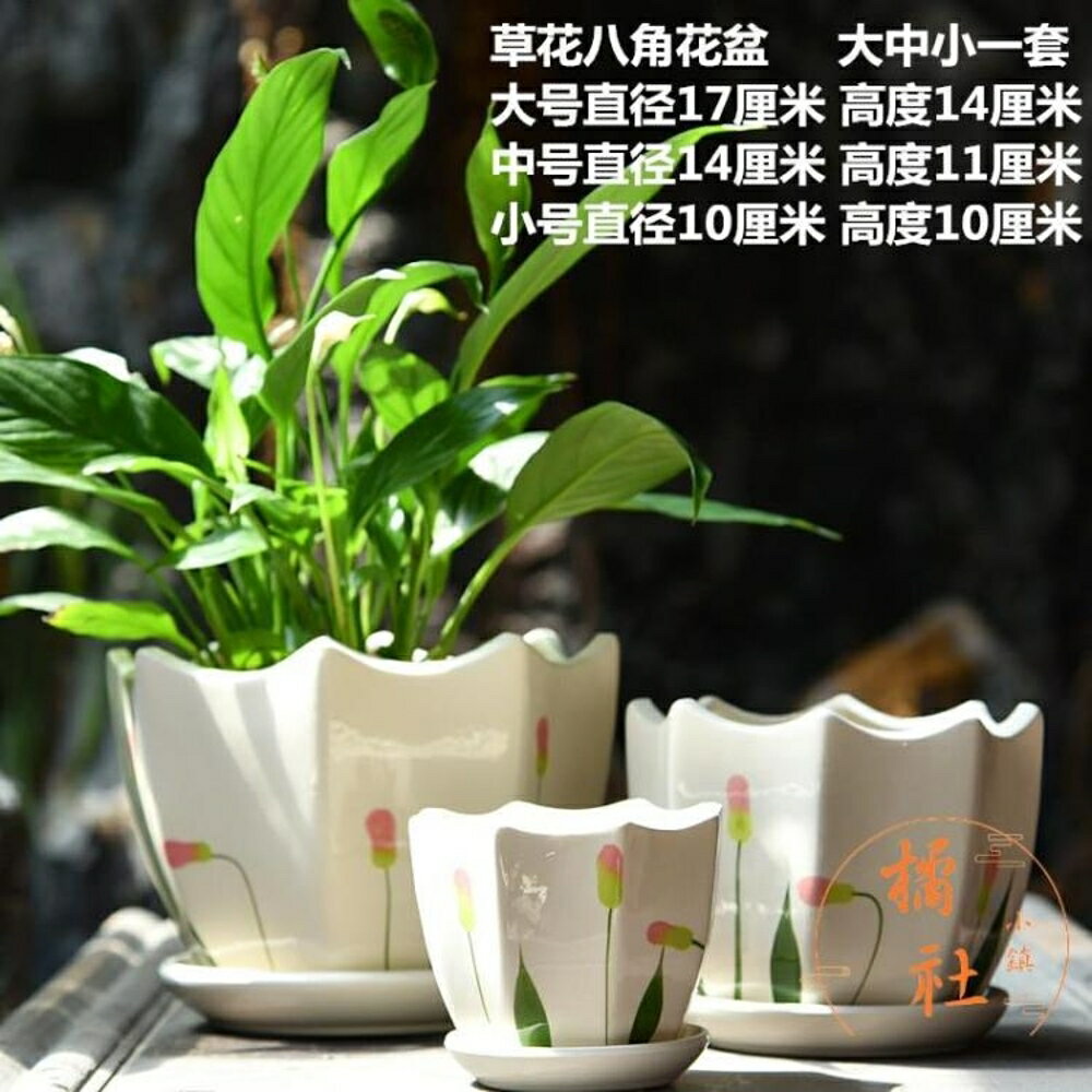 居家綠蘿吊蘭多肉花盆花園花盆陶瓷帶托盤【櫻田川島】