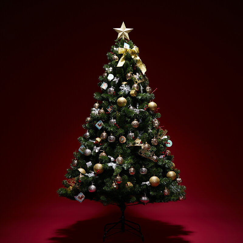 免運 快速出貨 圣誕樹家用1.2/1.5/1.8米豪華加密圣誕樹套餐綠色DIY圣誕節裝飾品 聖誕節交換禮物 年終鉅惠